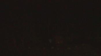 Weather camera view of John Dorr Nature Lab-Horace Mann School.