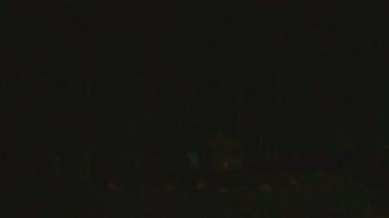 Weather camera view of John Dorr Nature Lab-Horace Mann School.