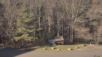 Weather camera view of John Dorr Nature Lab-Horace Mann School.