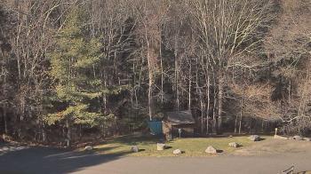 Weather camera view of John Dorr Nature Lab-Horace Mann School.