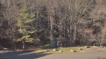 Weather camera view of John Dorr Nature Lab-Horace Mann School.