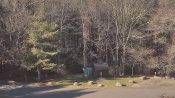 Weather camera view of John Dorr Nature Lab-Horace Mann School.