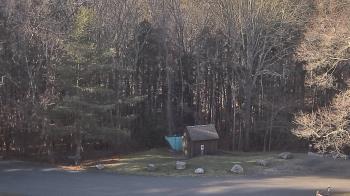 Weather camera view of John Dorr Nature Lab-Horace Mann School.