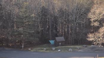 Weather camera view of John Dorr Nature Lab-Horace Mann School.