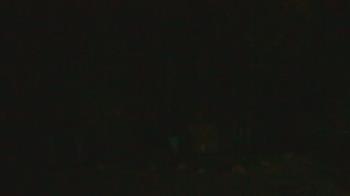 Weather camera view of John Dorr Nature Lab-Horace Mann School.