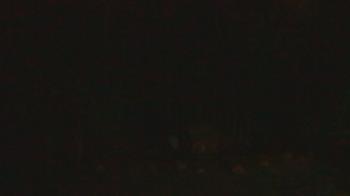 Weather camera view of John Dorr Nature Lab-Horace Mann School.