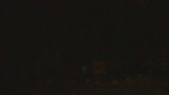 Weather camera view of John Dorr Nature Lab-Horace Mann School.