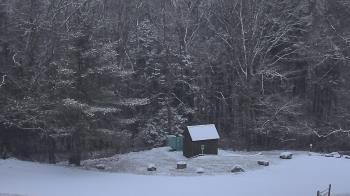 Weather camera view of John Dorr Nature Lab-Horace Mann School.