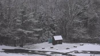 Weather camera view of John Dorr Nature Lab-Horace Mann School.