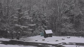 Weather camera view of John Dorr Nature Lab-Horace Mann School.