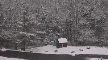 Weather camera view of John Dorr Nature Lab-Horace Mann School.