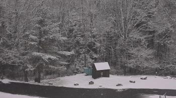 Weather camera view of John Dorr Nature Lab-Horace Mann School.