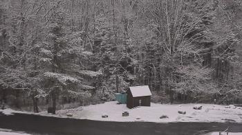 Weather camera view of John Dorr Nature Lab-Horace Mann School.