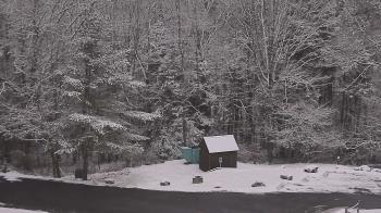 Weather camera view of John Dorr Nature Lab-Horace Mann School.