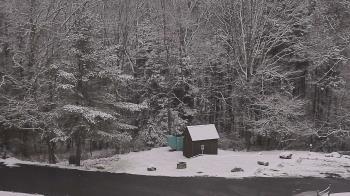 Weather camera view of John Dorr Nature Lab-Horace Mann School.