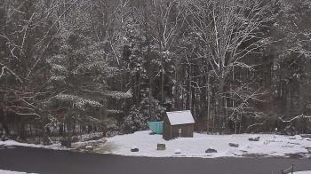 Weather camera view of John Dorr Nature Lab-Horace Mann School.