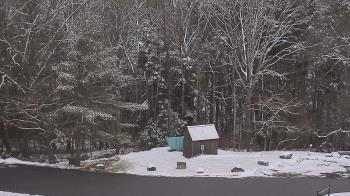 Weather camera view of John Dorr Nature Lab-Horace Mann School.