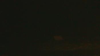 Weather camera view of John Dorr Nature Lab-Horace Mann School.