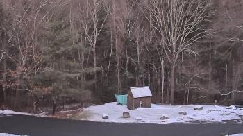Weather camera view of John Dorr Nature Lab-Horace Mann School.
