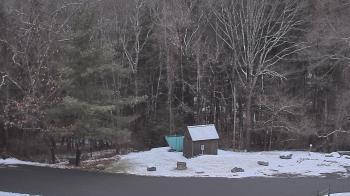 Weather camera view of John Dorr Nature Lab-Horace Mann School.
