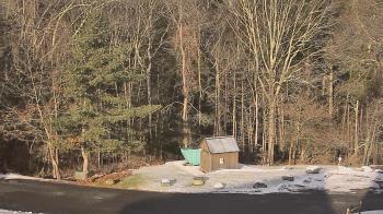 Weather camera view of John Dorr Nature Lab-Horace Mann School.