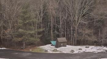 Weather camera view of John Dorr Nature Lab-Horace Mann School.