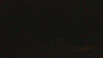 Weather camera view of John Dorr Nature Lab-Horace Mann School.