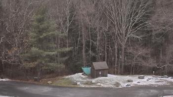 Weather camera view of John Dorr Nature Lab-Horace Mann School.