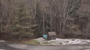 Weather camera view of John Dorr Nature Lab-Horace Mann School.