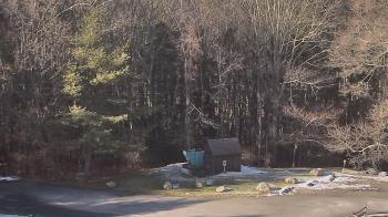 Weather camera view of John Dorr Nature Lab-Horace Mann School.