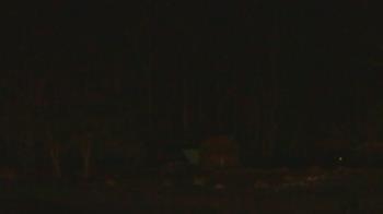 Weather camera view of John Dorr Nature Lab-Horace Mann School.