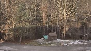 Weather camera view of John Dorr Nature Lab-Horace Mann School.