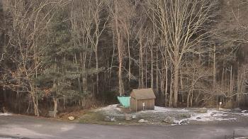 Weather camera view of John Dorr Nature Lab-Horace Mann School.