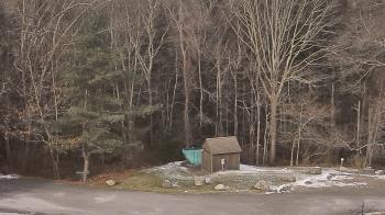 Weather camera view of John Dorr Nature Lab-Horace Mann School.