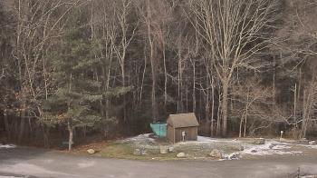 Weather camera view of John Dorr Nature Lab-Horace Mann School.