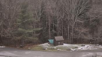 Weather camera view of John Dorr Nature Lab-Horace Mann School.