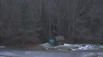 Weather camera view of John Dorr Nature Lab-Horace Mann School.