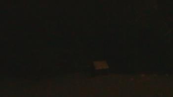 Weather camera view of John Dorr Nature Lab-Horace Mann School.