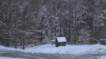 Weather camera view of John Dorr Nature Lab-Horace Mann School.