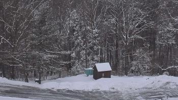 Weather camera view of John Dorr Nature Lab-Horace Mann School.