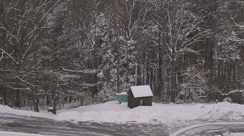 Weather camera view of John Dorr Nature Lab-Horace Mann School.