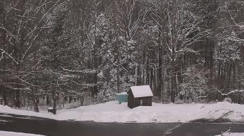 Weather camera view of John Dorr Nature Lab-Horace Mann School.