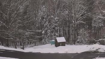 Weather camera view of John Dorr Nature Lab-Horace Mann School.
