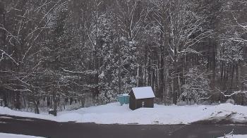 Weather camera view of John Dorr Nature Lab-Horace Mann School.