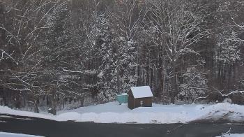 Weather camera view of John Dorr Nature Lab-Horace Mann School.