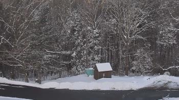 Weather camera view of John Dorr Nature Lab-Horace Mann School.