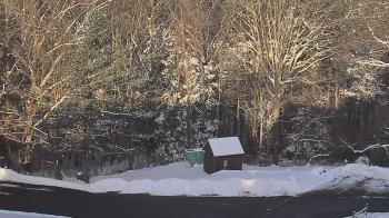 Weather camera view of John Dorr Nature Lab-Horace Mann School.