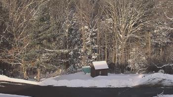 Weather camera view of John Dorr Nature Lab-Horace Mann School.