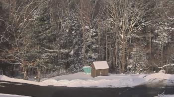 Weather camera view of John Dorr Nature Lab-Horace Mann School.