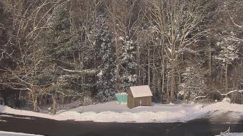 Weather camera view of John Dorr Nature Lab-Horace Mann School.